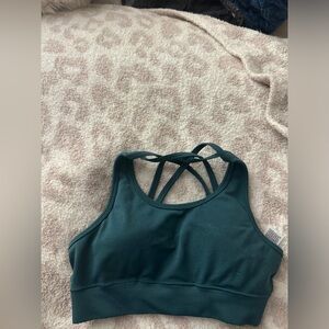 Alphalete amplify bra teal